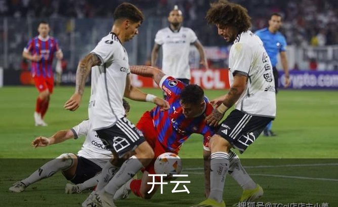 开云概况